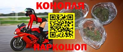 крисы Будённовск