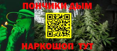 крисы Будённовск