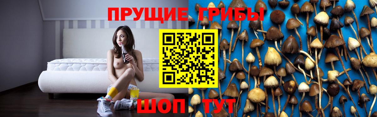 закладки  Вход с VPN  Луховицы  Псилоцибиновые грибы MAGIC MUSHROOMS 